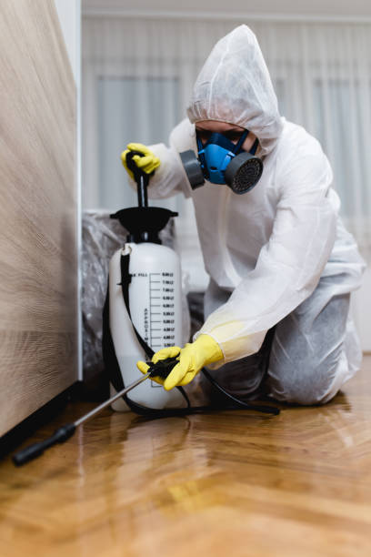 Best Real Estate Pest Inspections  in Fairview Heights, IL